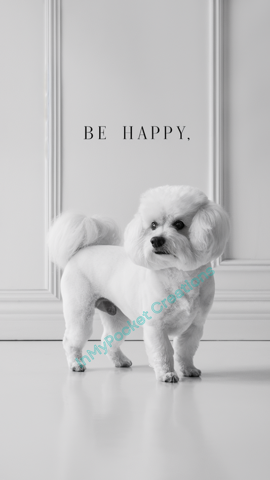 Le petit gardien des ombres blanches "Bichon"